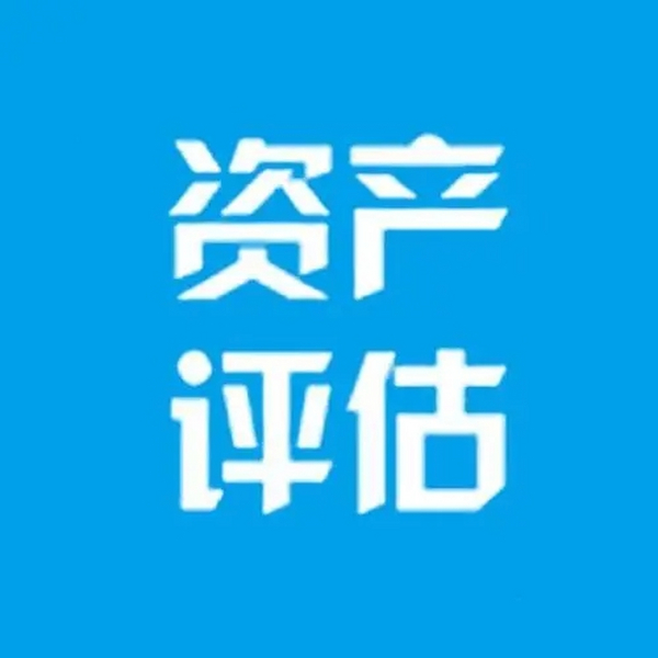 ​人民法院委托司法执行财产处置 资产评估指导意见