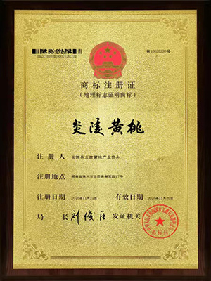 ec8404f1-19b5-439a-a469-2bccbe