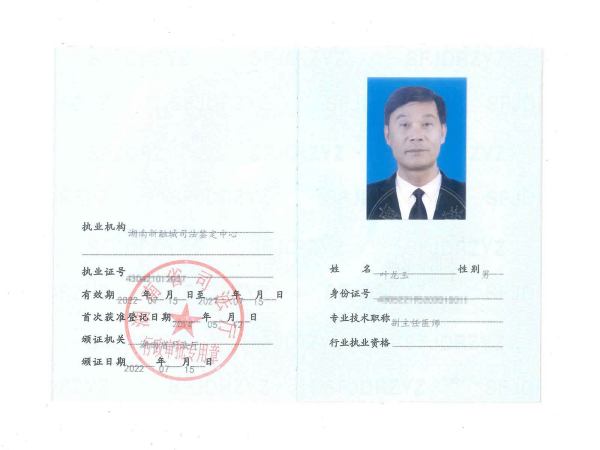 叶龙玉