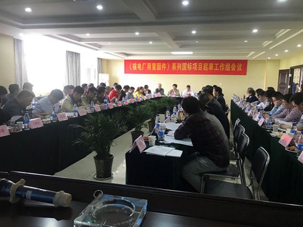 參加核電標(biāo)準(zhǔn)工作組會(huì)議