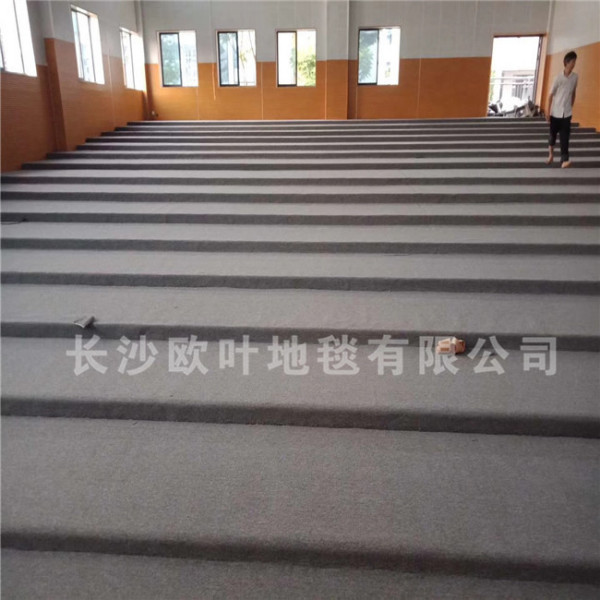 岳麓区第三小学演播厅地毯