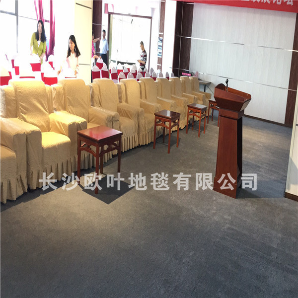 满铺弯头纱-麓谷会议室
