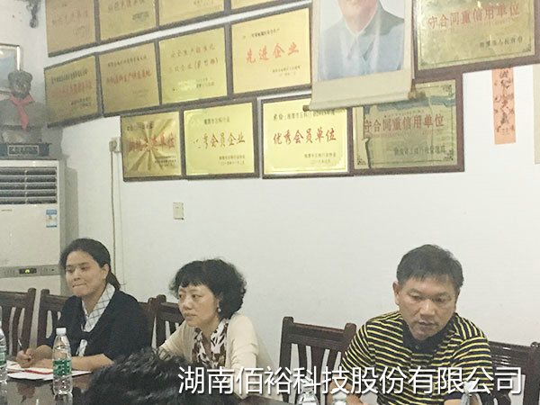 陈蓓副市长、刘光明秘书长带队来公司视察指导工作