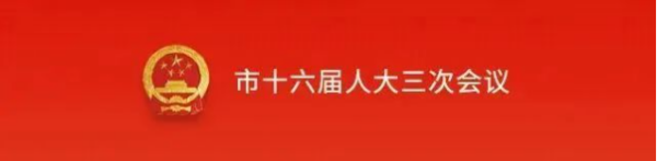 讯息丨长沙市十六届人大三次会议举行第二次全体会议选举结果