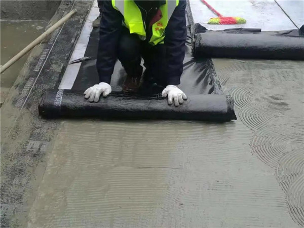 河南中原防水防腐保温工程有限公司,河南防水,建筑防水,中原防水哪家好