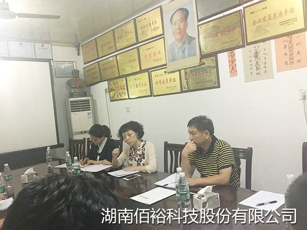 陈蓓副市长、刘光明秘书长带队来公司视察指导工作