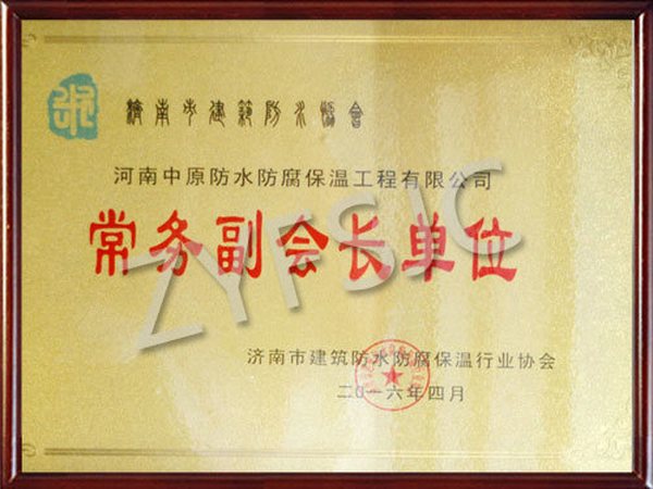常務(wù)副會長單位