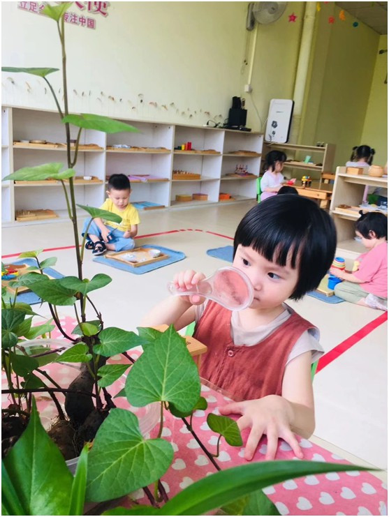 常德市武陵区亿婴天使早教中心,亿婴天使早教中心,常德早教中心,早教中心,早教中心哪家好