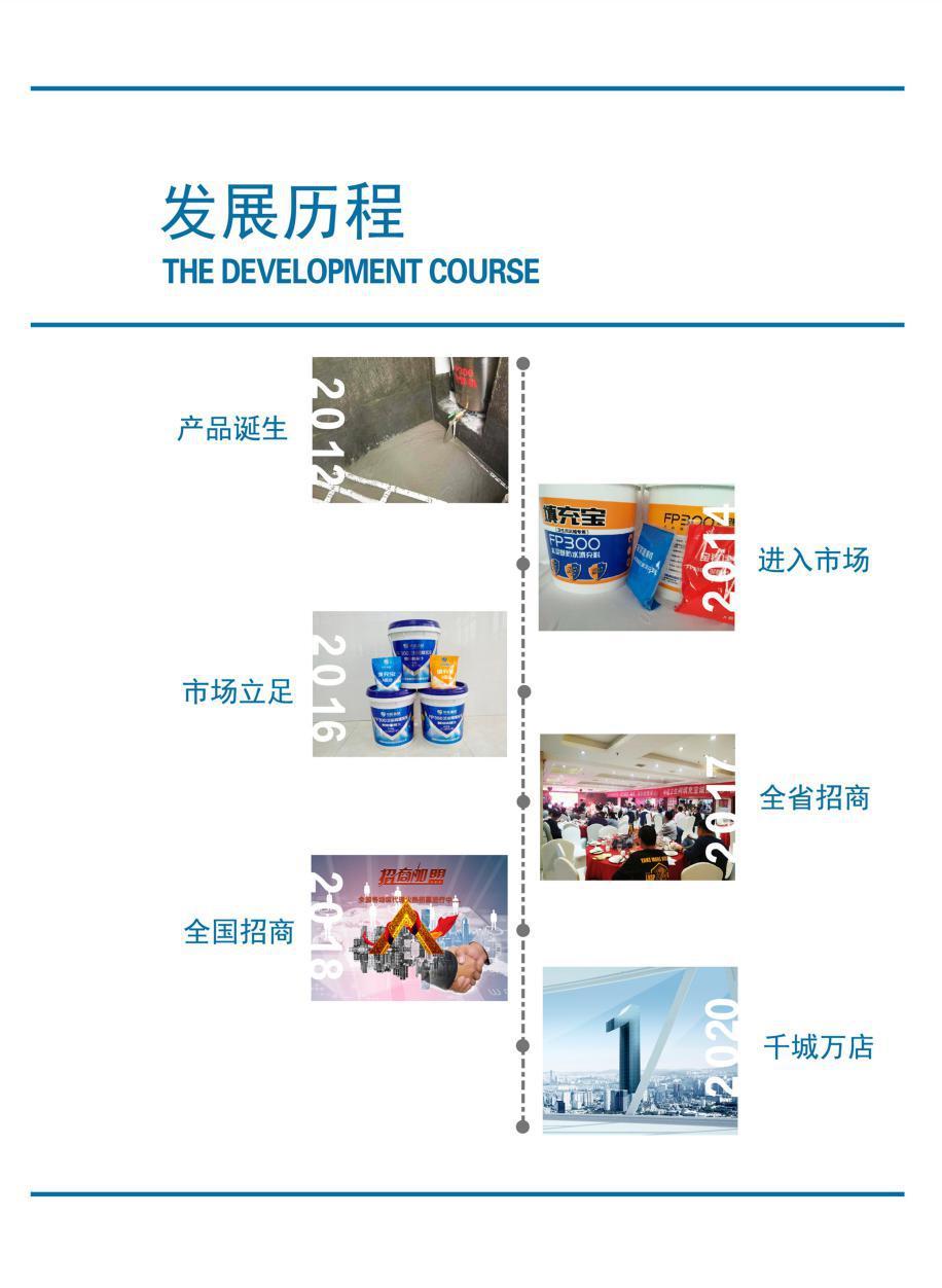 发展历程