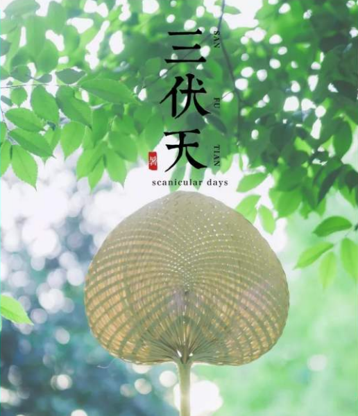三伏将至，三伏天祛暑防湿生活饮食禁宜