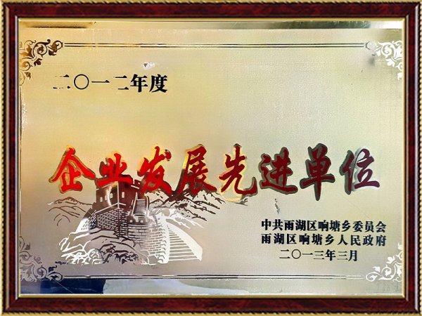 2012年度企业发展先进单位