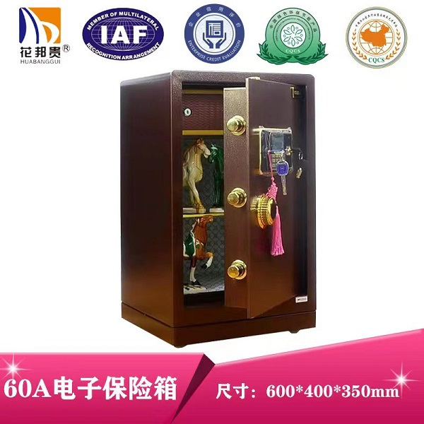 HBG-174 60A 保險(xiǎn)（箱）柜