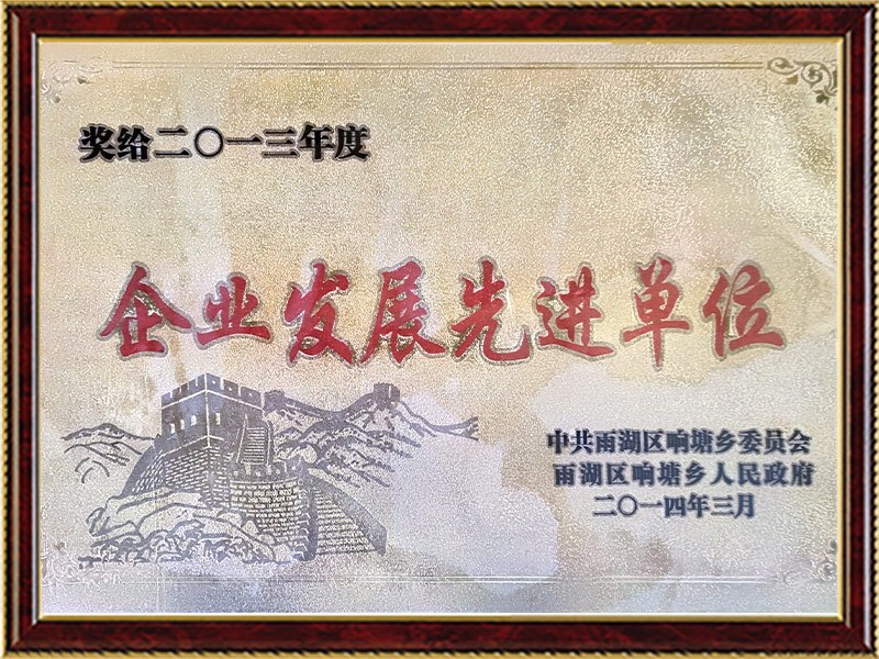 2013年度企业发展先进单位