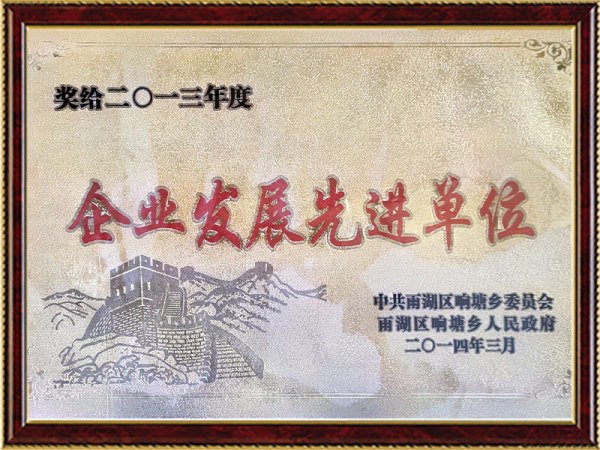 2013年度企业发展先进单位