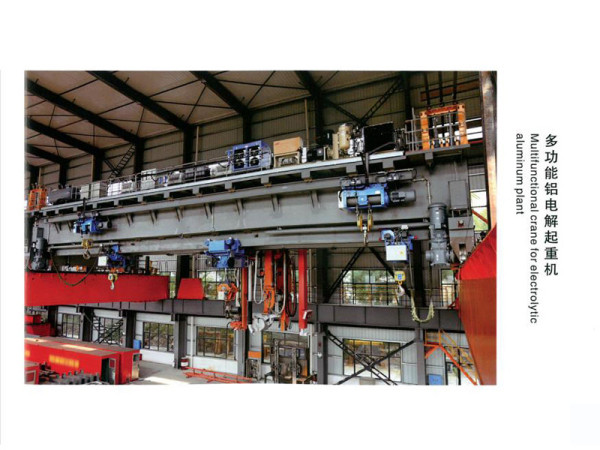 Multifunctional aluminum electrolysis crane