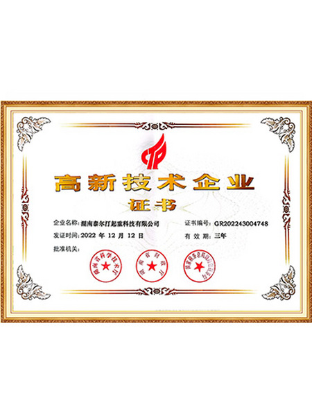High and new technology enterprises