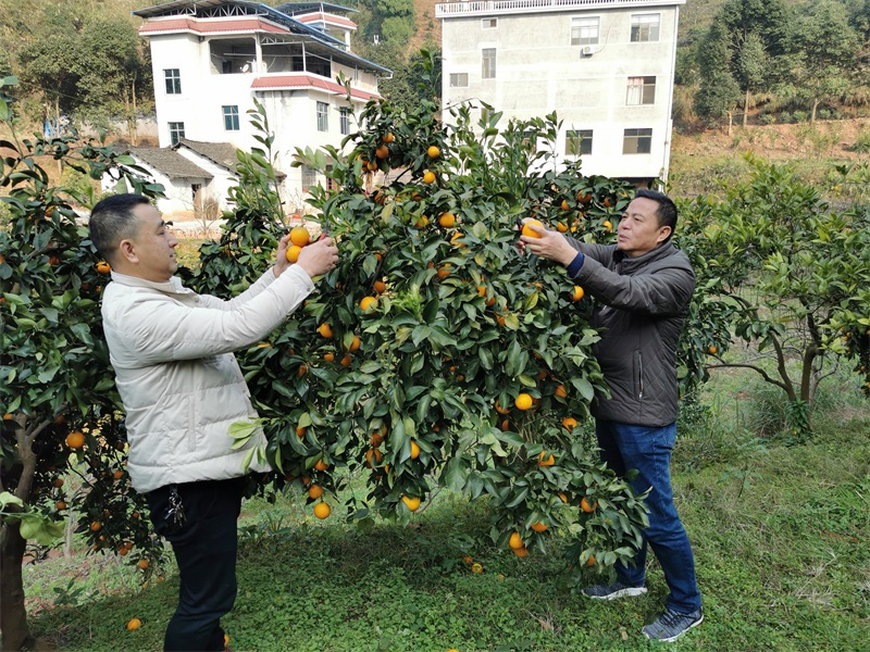 懷化保安,懷化押運,懷化聯(lián)網(wǎng)報警,懷化市保安公司