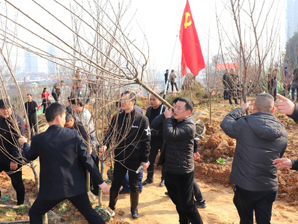 我們共同為地球添綠