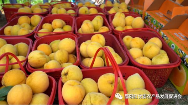 图片 3