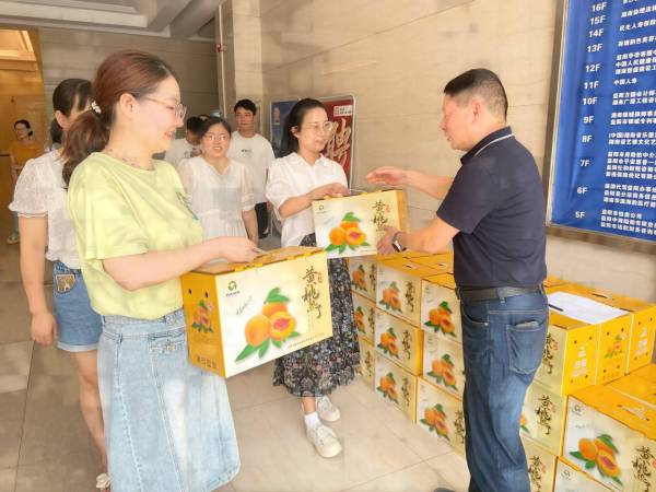 湖南景辰支部开展支农助农党建活动