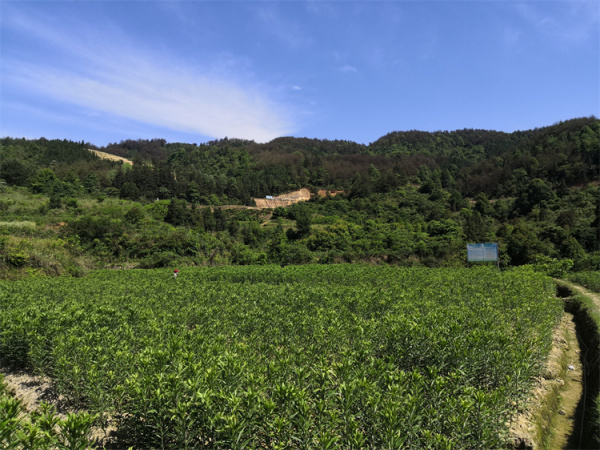 基地风光15