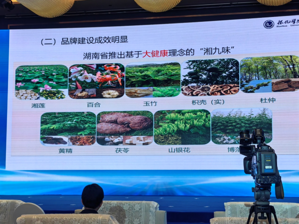 湖南康润农业科技发展有限公司,怀化龙牙百合,怀化百合种植基地,怀化龙牙百合种植
