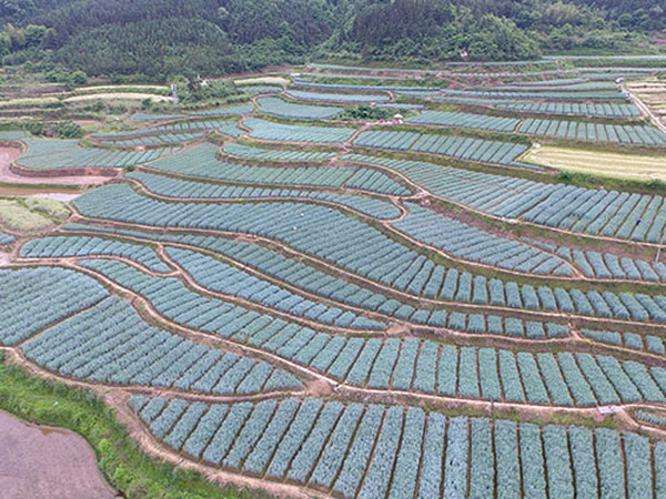 基地风光27