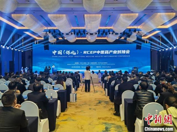 中國（懷化）·RCEP中醫藥產業對接會召開 推動合作共贏