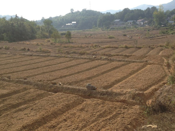基地风光11