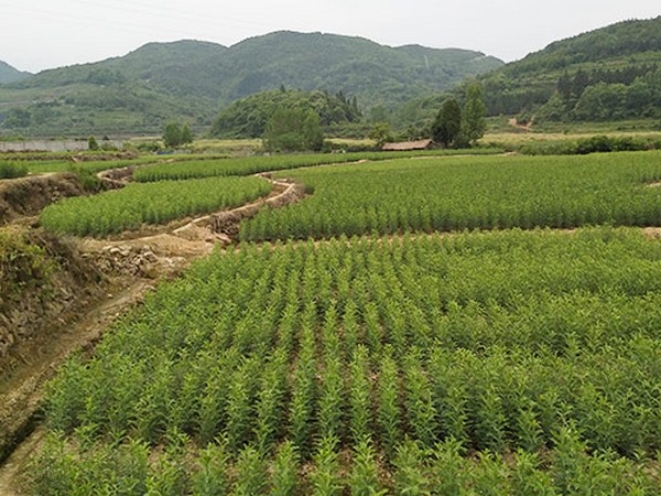 基地风光22