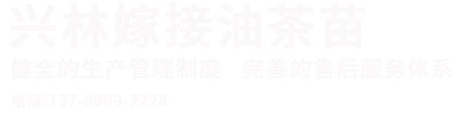 未标题-2