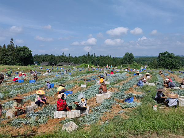 基地风光32