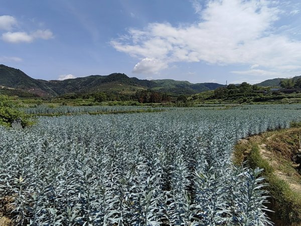 基地风光25