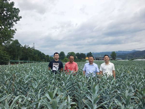 基地风光30