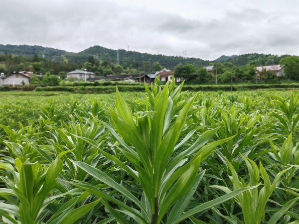基地风光19