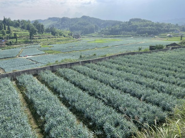 基地风光28