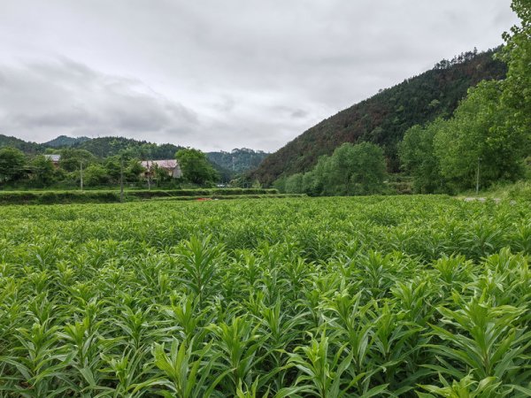 基地风光18