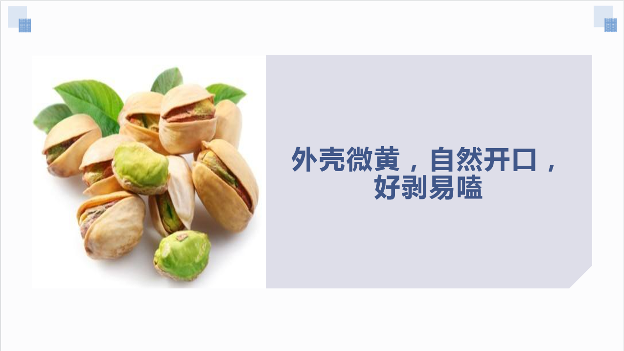 开心果 (3)