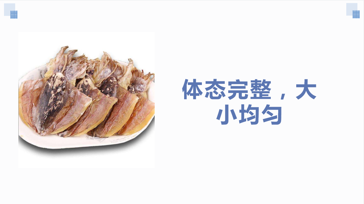 墨鱼1