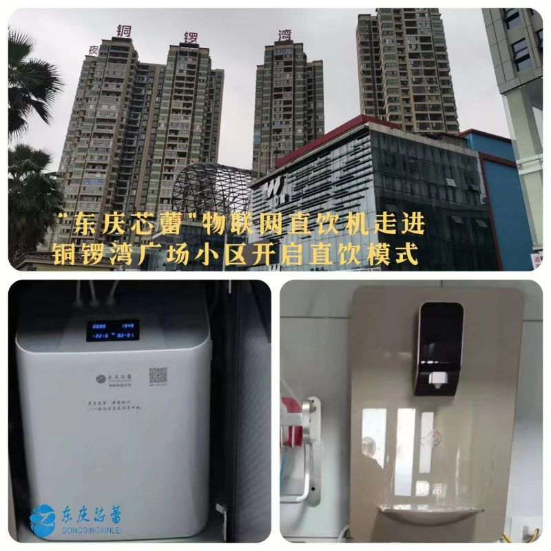 碧桂园江景园别墅