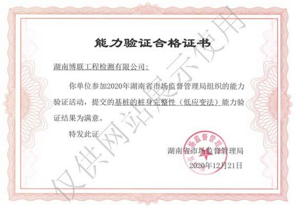 2020年湖南省基桩桩身完整性能力验证满意证书