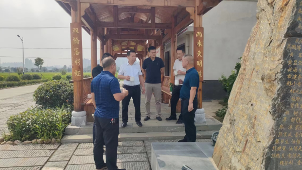 望城区水利局领导视察水美湘村，探寻乡村水利新篇章