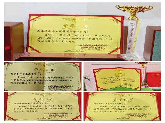 图片 5