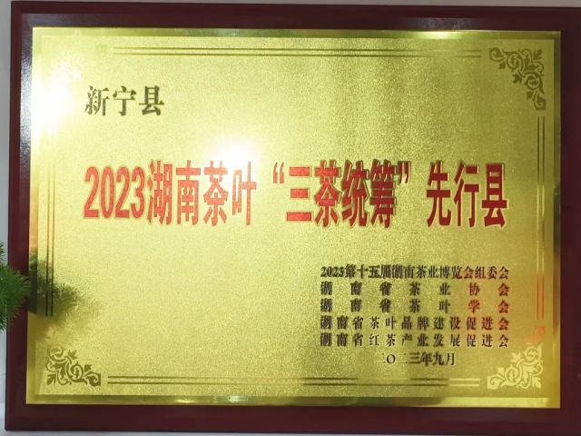 图片 4