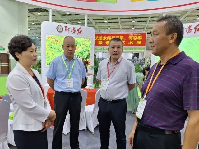 图片 3