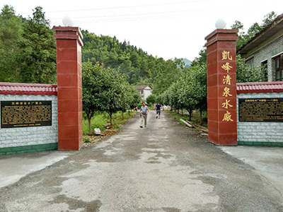 臭氧发生器