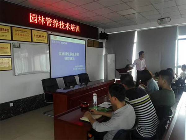 盛景園林養(yǎng)護(hù)技術(shù)培訓(xùn)課 (2)