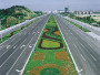岳阳大道