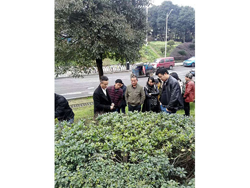 湖南建工汇博物业绿化养护技术交流会