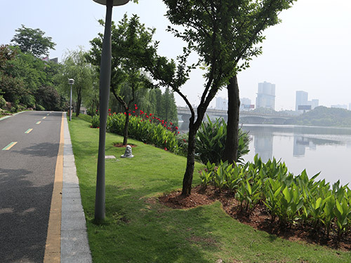 王家河一桥及风光带